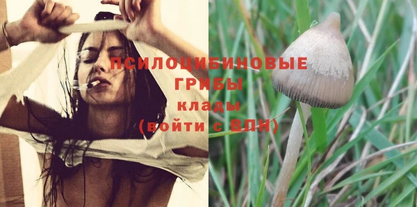 кристаллы Кодинск