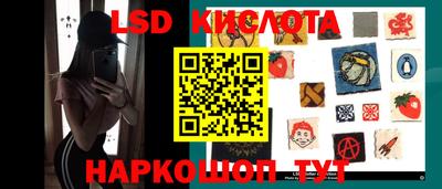 МДПВ Новозыбков