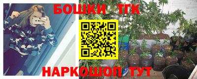герыч Новодвинск