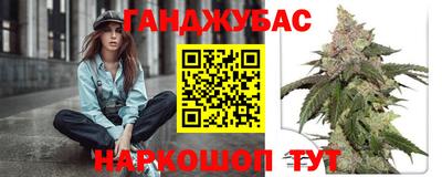МДПВ Новозыбков