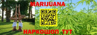 МДПВ Новозыбков